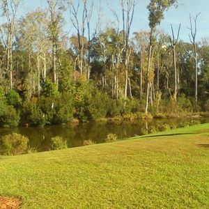 Meet your Posher, Eileen